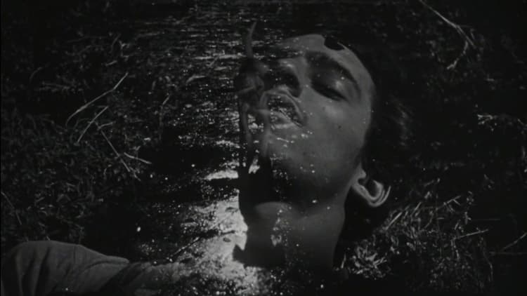 The Young and the Damned